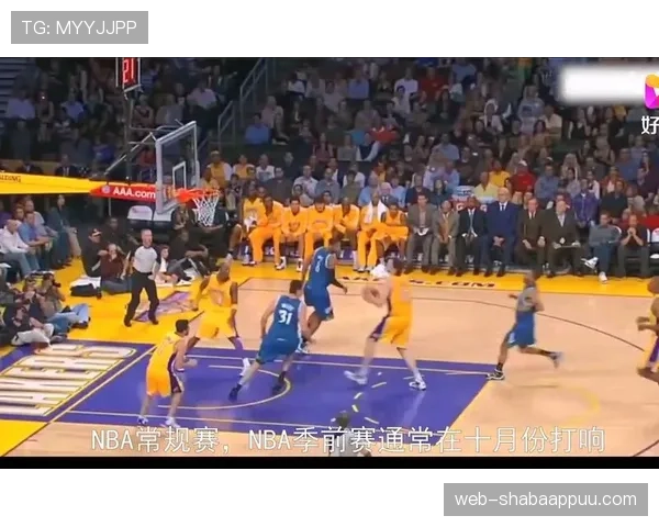 挑战判罚规则是什么意思?NBA挑战机制解析 挑战判罚规则是什么意思?NBA挑战机制解析